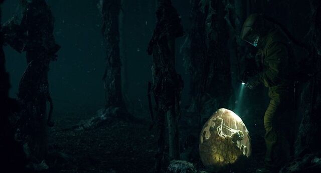 File:Stranger Things 1x08 – Egg.jpg