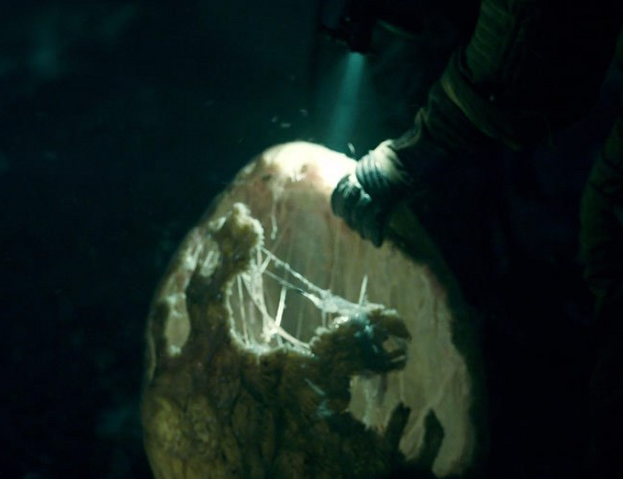 File:Upside Down egg.png