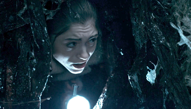 File:Nancy enters the Upside Down.png