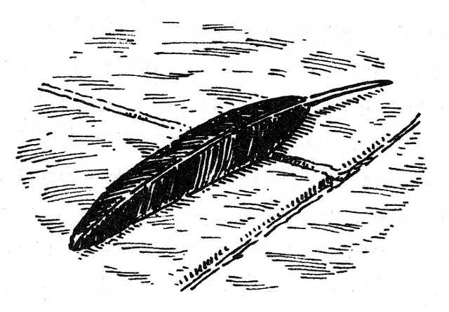 File:Feather.png