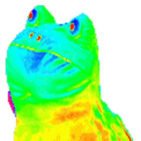 File:Giphy.gif