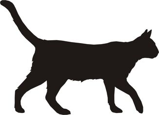 Dog-and-cat-silhouette-KijXz8yiq