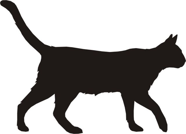 File:Dog-and-cat-silhouette-KijXz8yiq.jpeg