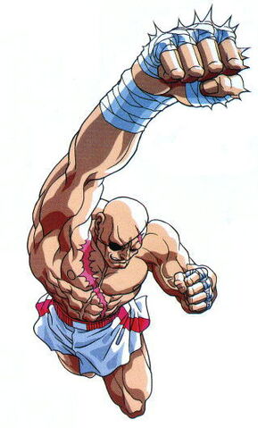File:9630-sagat.jpg