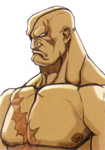 File:Street-fighter-ex-2-plus-sagat-portrait.jpg