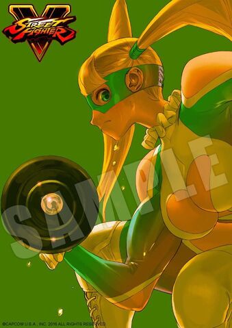File:23 sf5artwork01.jpg