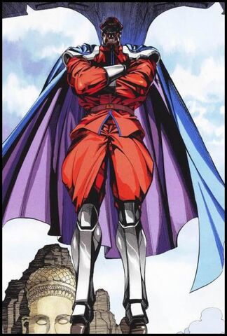 File:Bison Cape.jpg