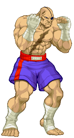 File:Sagat-hdstance.gif