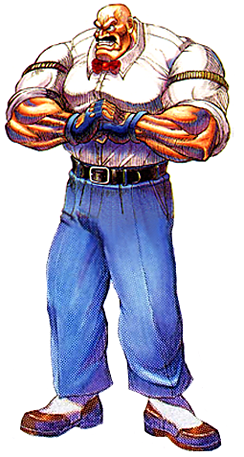 download stray final fight 3 download stray final fight 3