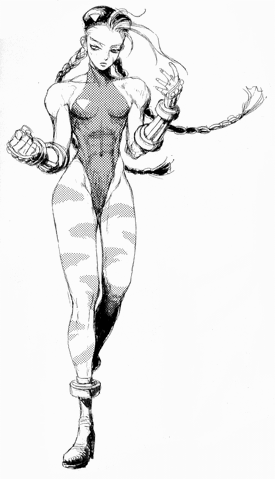 File:Camsf2xsketch.gif