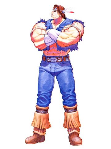 File:THawkSuperSFII.jpg