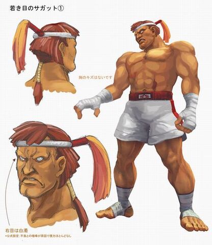File:Sagat-ssf4-alt.jpg