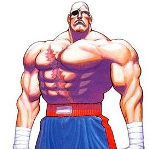 File:Sagat 5.jpg