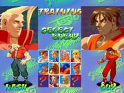 SFAlpha-character-select-screen.jpg