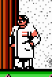 NES scientist