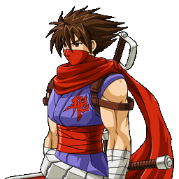 Image - Nxc hiryu masked.png | Strider Wiki | FANDOM powered by Wikia