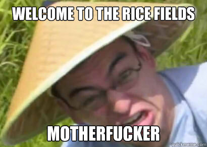 File:Ricefields.jpg