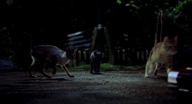 File:Stuart-little-disneyscreencaps com-7157.jpg