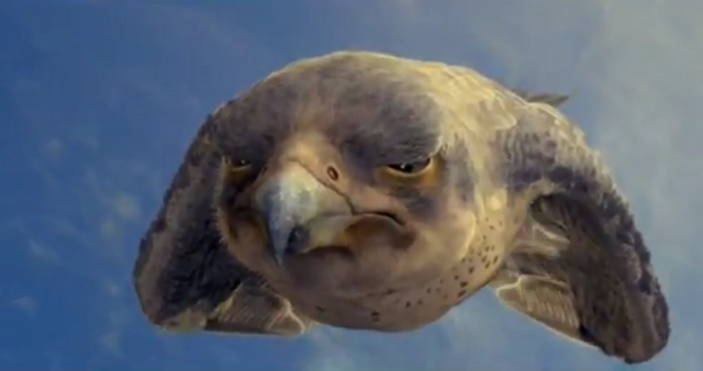 File:Falcon fight.png