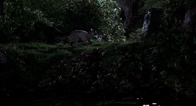 File:Stuart-little-disneyscreencaps com-8838.jpg