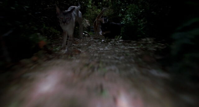 File:Stuart-little-disneyscreencaps com-7186.jpg