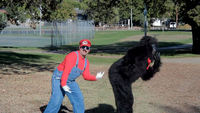 Stupid Mario Brothers Gangnam Style Parody Nintendo Style Donkey Dung