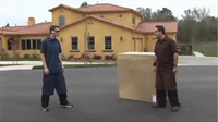 UPSandFedExmeet