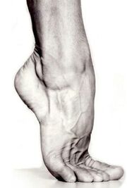 Foot