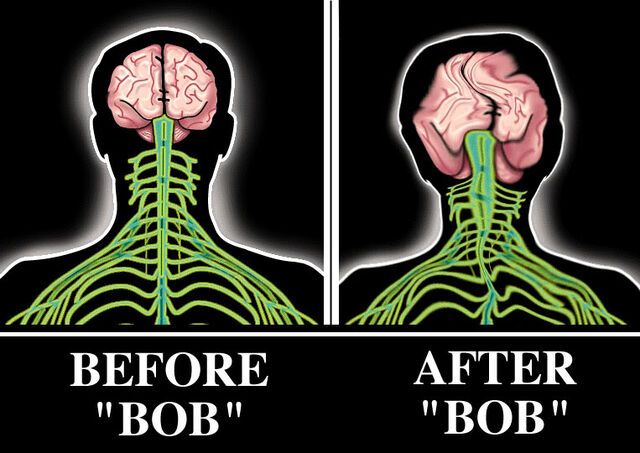 File:Bobbie brains.jpg