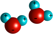Water molecules