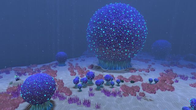 File:Kooshzone2.jpg