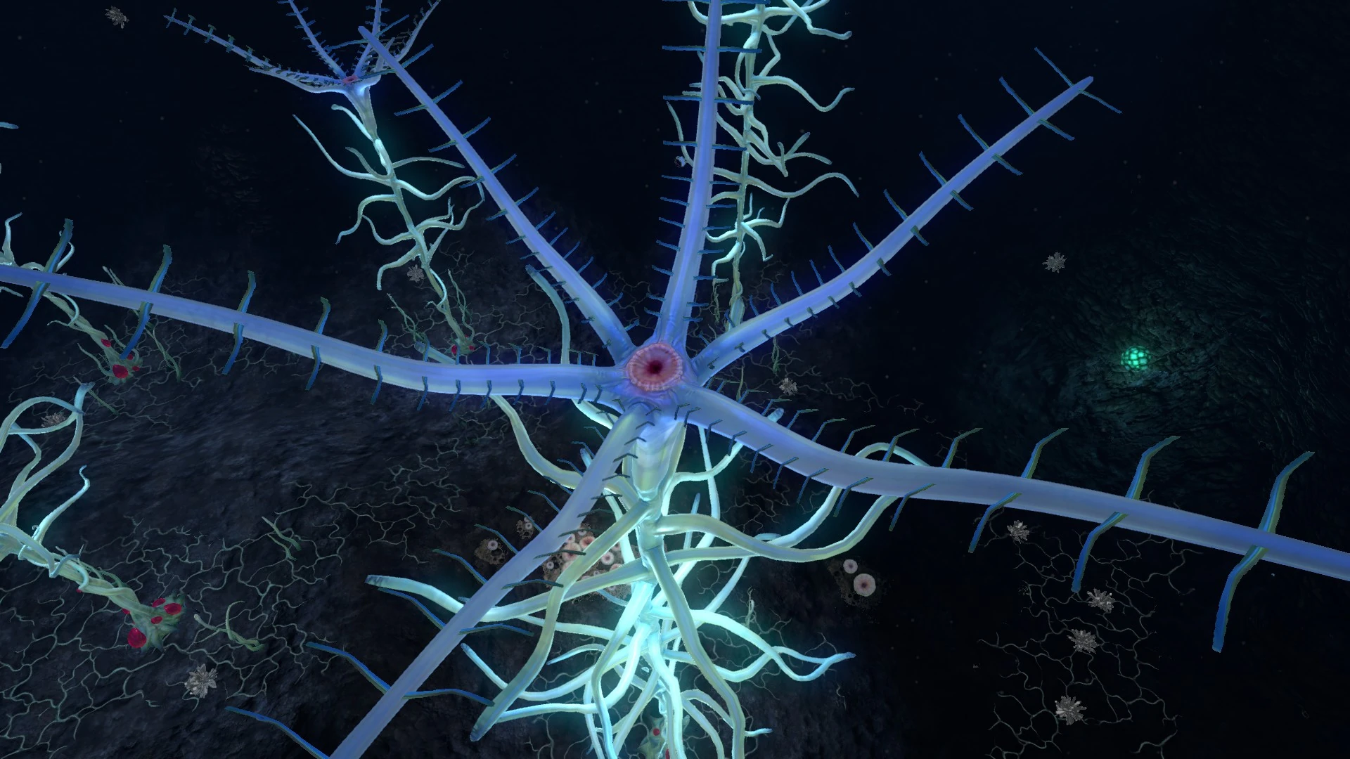 Image Blood Kelp (6).jpg Subnautica Wiki FANDOM powered by Wikia