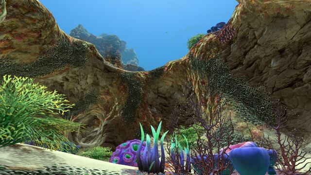 File:Safe Shallows (4).jpg