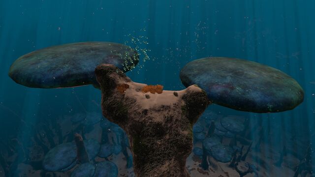 File:TreeMushroom04.jpg