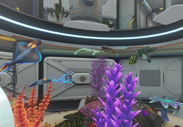 Datei:Grosses Aquarium2.png