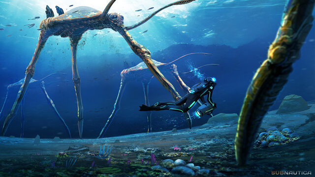 File:Sea Trader Concept Art.jpg