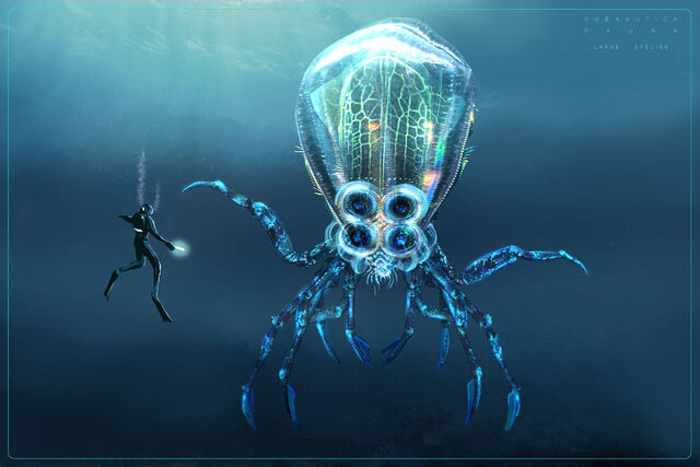 Файл:Crabsquid.jpg