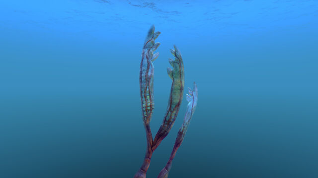 File:2015-05-04 00077.jpg
