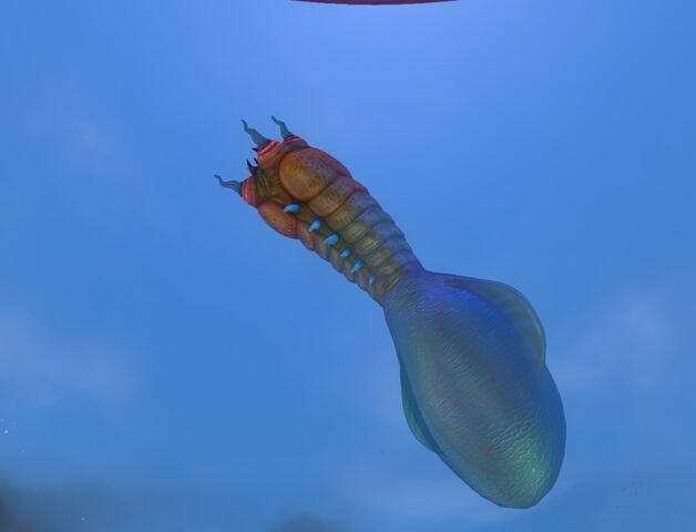 File:Bleeder 4.jpg