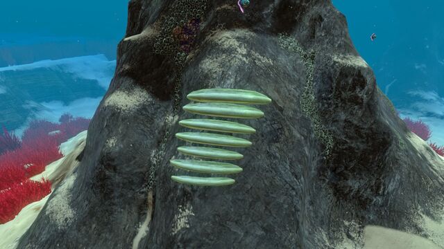 File:SlantedShellPlate01.jpg