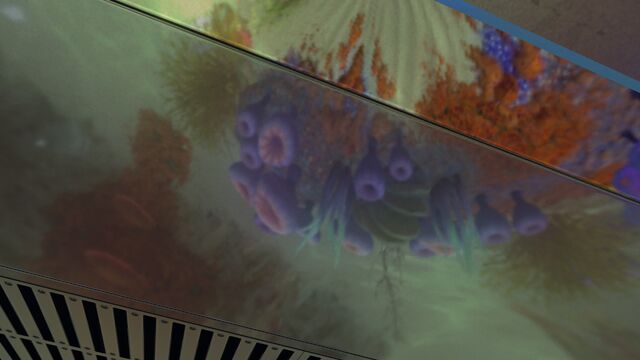 File:Reflection on Shiny things.jpg