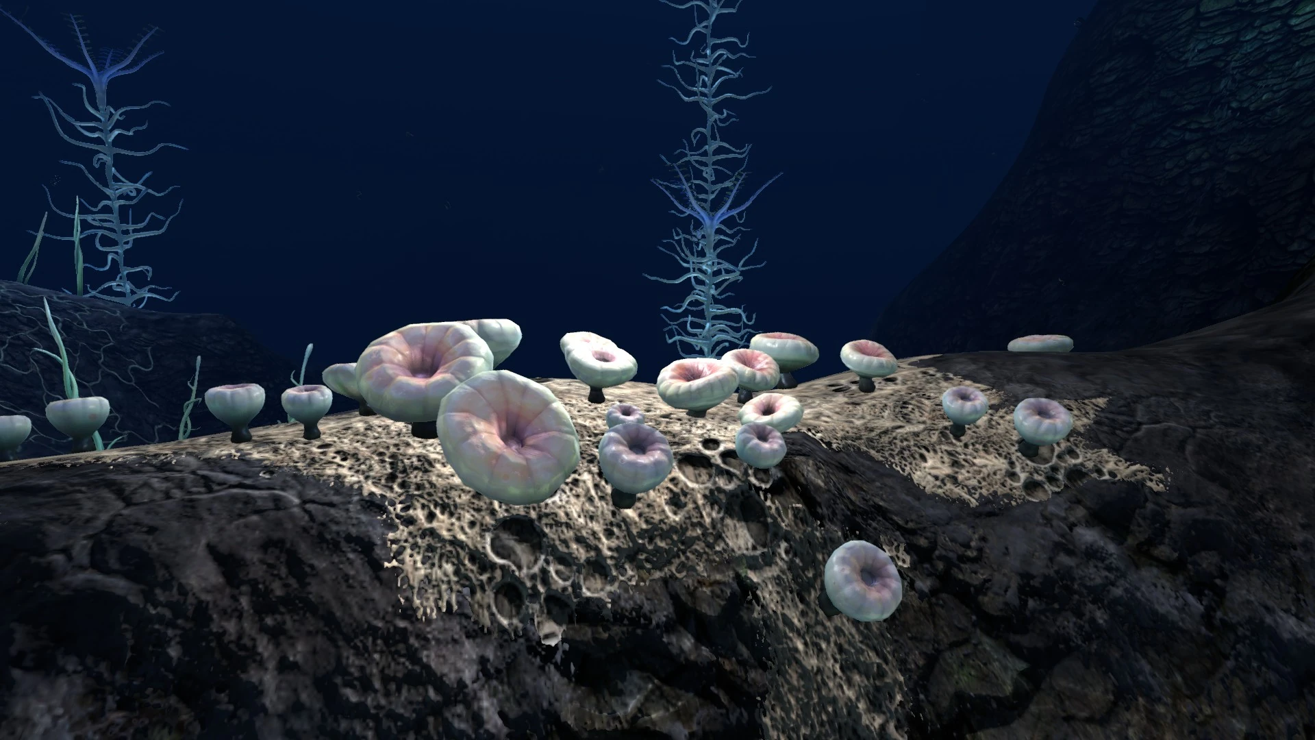 Image Blood Kelp (10).jpg Subnautica Wiki FANDOM powered by Wikia