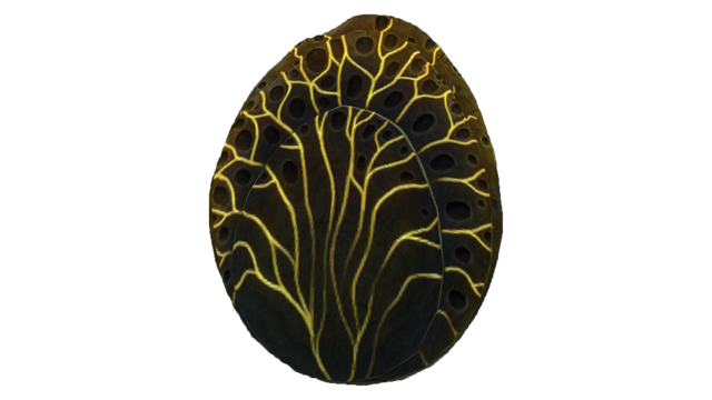 Файл:Shell Plate Fauna.png