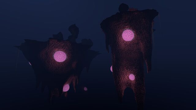 Файл:Underwater Islands (98).jpg