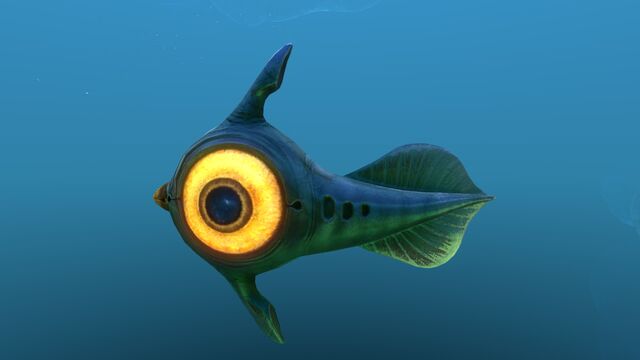 File:Peeper 10.jpg