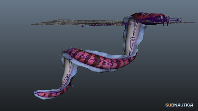 File:Crab snake skin 141106v02.jpg