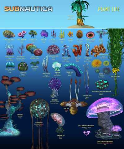 File:PlantList.jpg