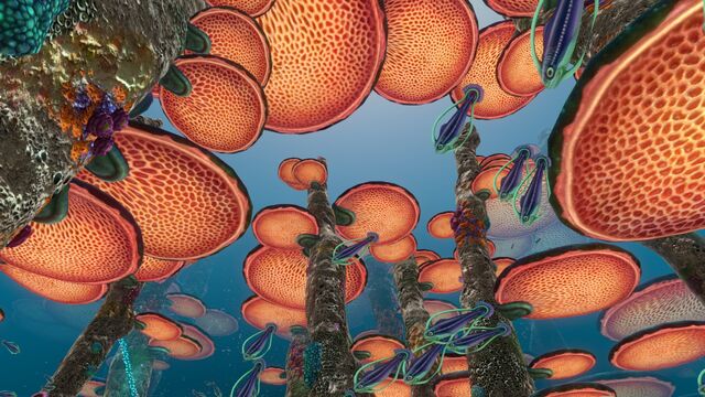 File:Mushroom Forest (2).jpg