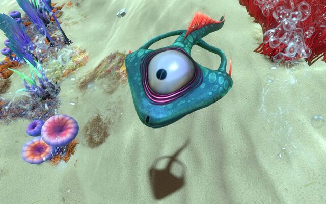 Файл:Spadefish-02-eye1.jpg