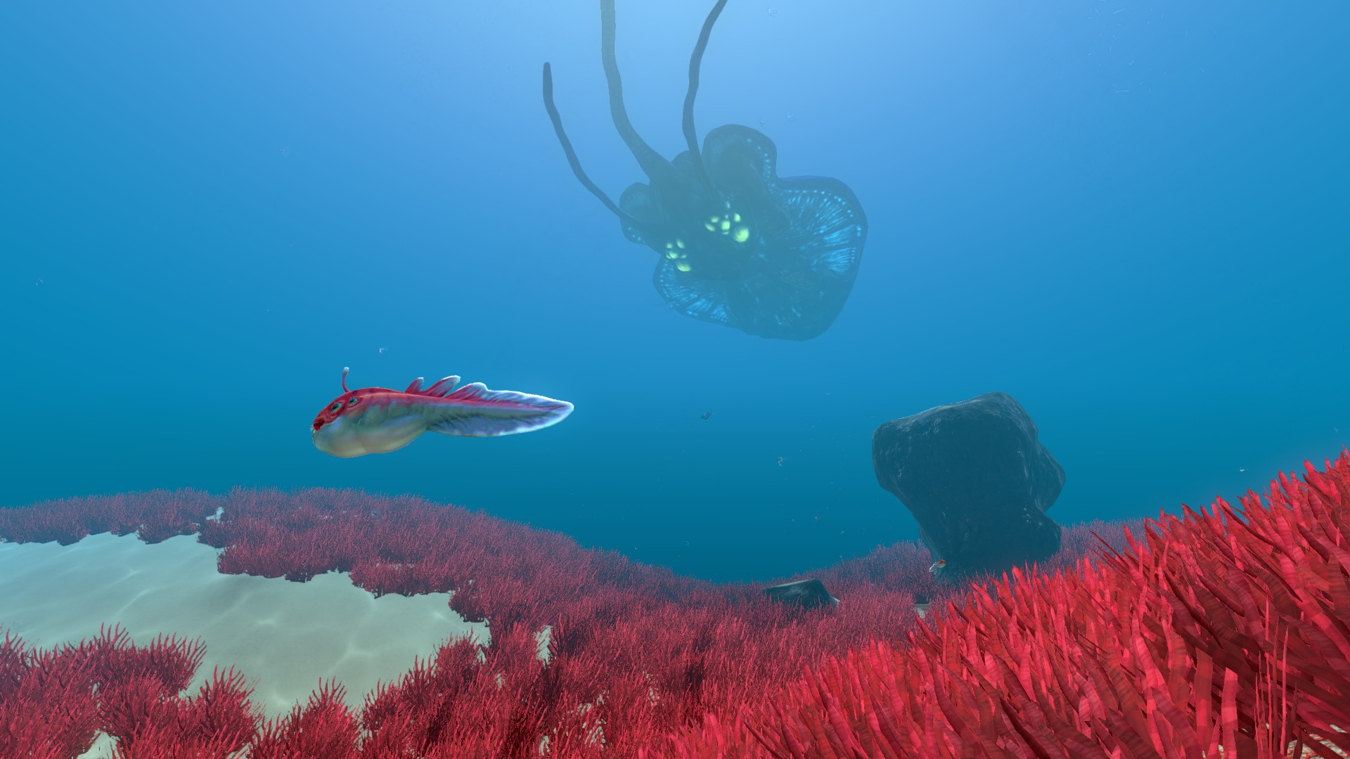 Subnautica образец пластинчатого. Пластинчатый коралл субнатика. Морской венец Subnautica. Коралловые рифы субнаутика. Подводные острова в Subnautica.